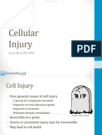 Cell Injury Atf