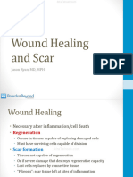 Wound Healing and Scar Atf