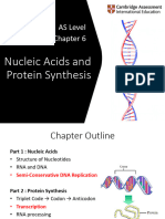 6 Nucleic Acids and Protein Synthesis
