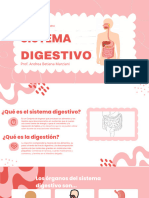 Sistema digestivoSI - 20231107 - 000242 - 0000