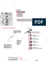 Httpsmiudla - Udla.cluploadscourse Attachmentattachment980211Clase 1 y 2 PDF