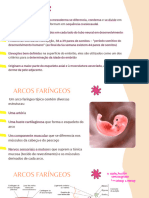 03 - Embriologia Humana Dos Sistemas (4° A 38° Semanas)