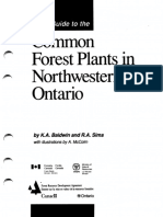 Field Guide to Forest Plants of Northern Ontario