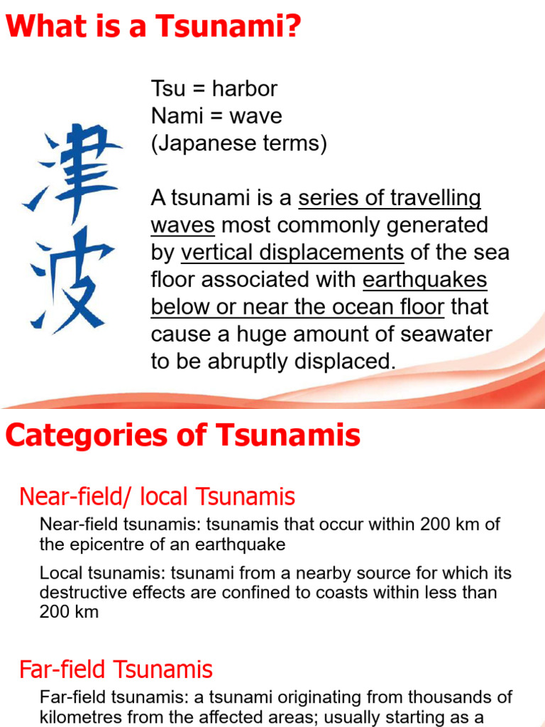 Tsunami 8 d