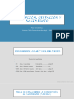 Concepción, Gestación y Nacimiento WM