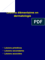 4.2 CM1 Lésions Élémentaires en Dermatologie