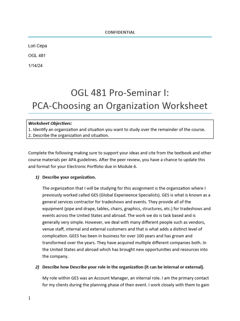 GES Organization Analysis Worksheet | PDF