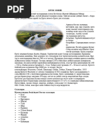 Шәуетпен жабылған түкті кисканың жақыннан түсірілген фотосы