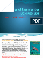 10 Species of Fauna Under Iucn Red Listtttttttttttt