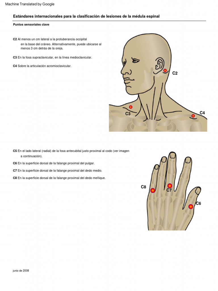 Key Sensory Points ESPAÑOL PDF