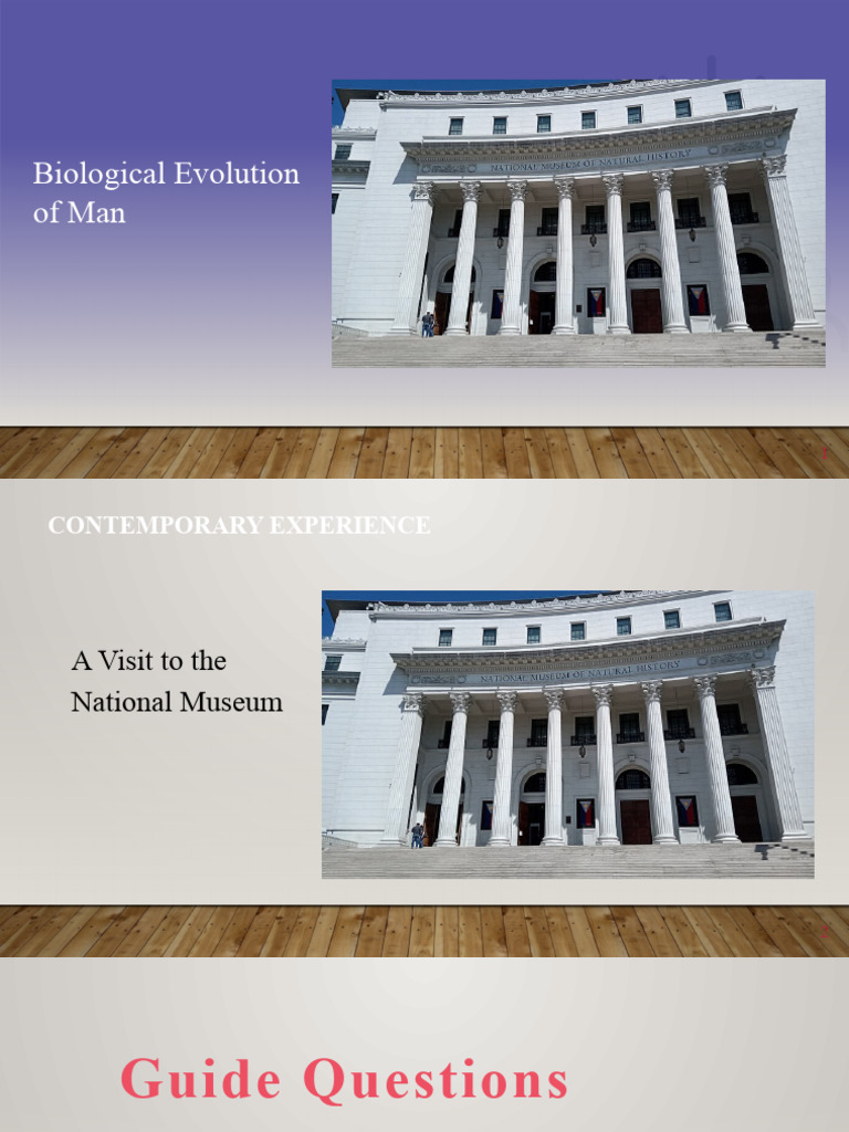 Human Evolution: Stages and Significance | PDF