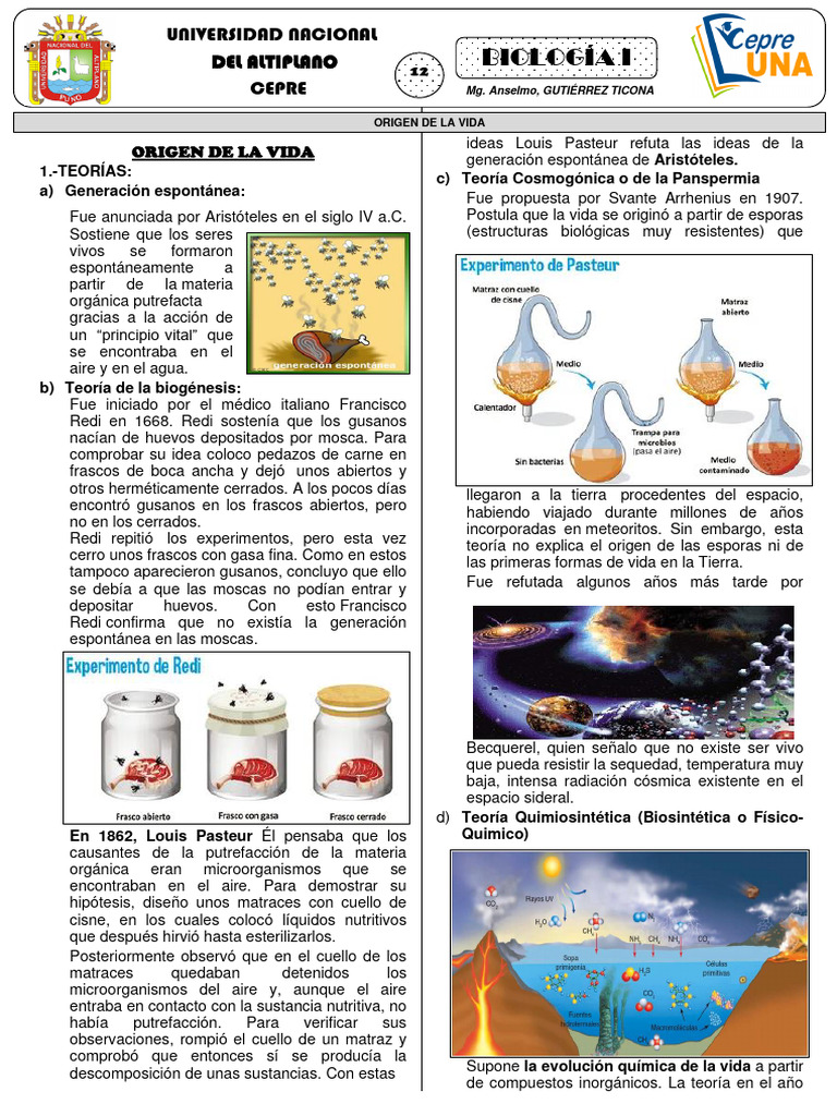 Teorías sobre el origen de la vida | PDF | Evolución | Seleccion natural