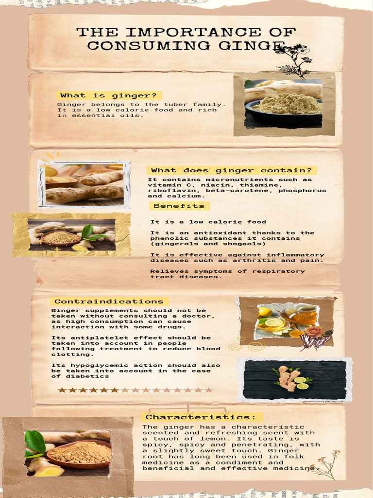 Orange Playful Food Infographics | PDF