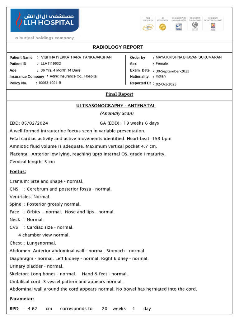 20-Week Anomaly Scan Report | PDF | Wellness