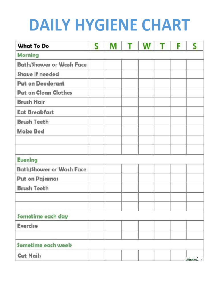 Daily Hygiene Chart PDF