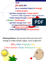Photosynthesis - HANDOUT