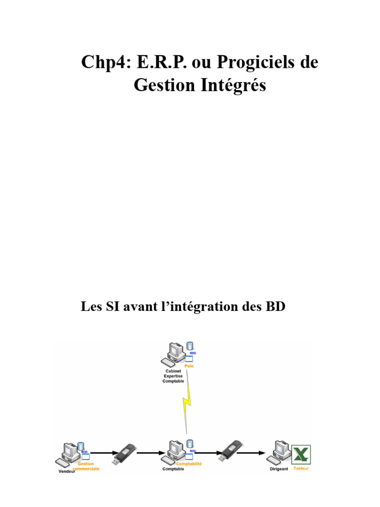 Introduction aux Progiciels de Gestion | PDF | Progiciel de gestion ...