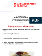 Digestion and Absorption of Proteins