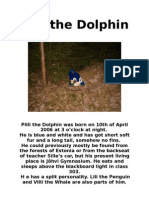 Pilli The Dolphin