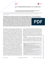 Transcriptome Profiling of Antimicrobial Resistance in Pseudomonas Aeruginosa