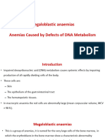 6.megaloblastic Anaemias