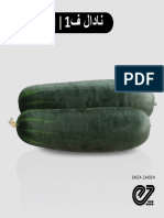 Cucumber Leaflet NADAL