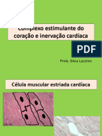 BMA0118-Complexo Estimulante e Inervacao-2