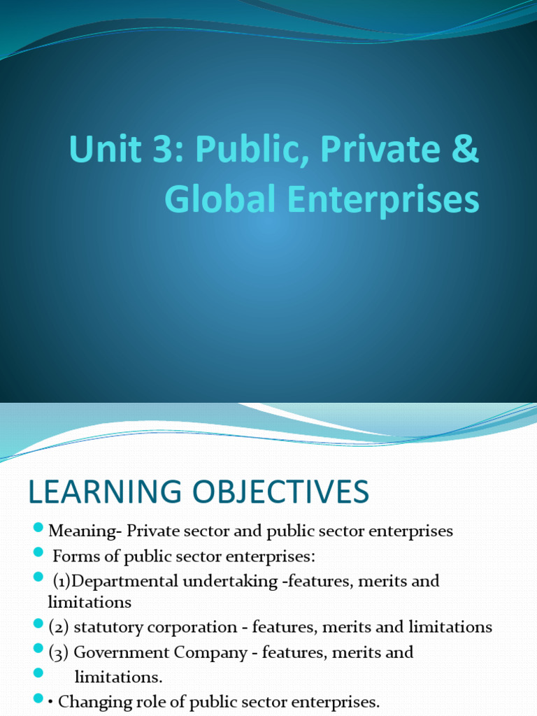 Public, Private & Global Enterprises | PDF | Joint Venture | State ...