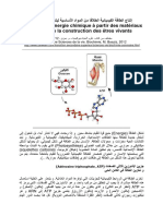 Energie ATP