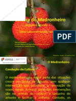 A Cultura - Medronhonheiro - Sardoal 19 Novenbro 2015 - Manuel - Sequeira - DRAPcentro