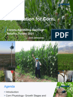 Drip Irrigation For Corn - Turkey 3.3.21