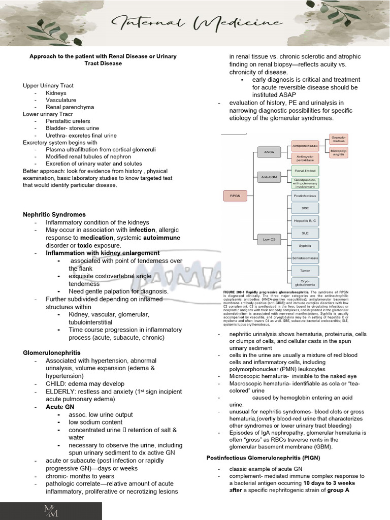 Approach To The Patient With Renal Disease or Urinary Tract Disease PDF Hemodialysis
