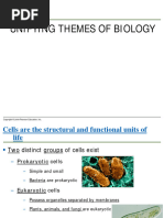 Unit Plan | PDF | Natural Selection | Educational Assessment