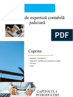 Raport de expertiză contabilă