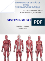 Sistema Muscular - 20231