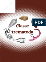 Classe Trematoda