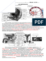 Lds 6 Reproduksi