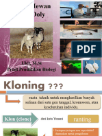 Animal Cloning