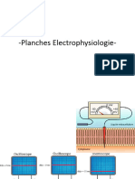 Planches Electrophysiologie