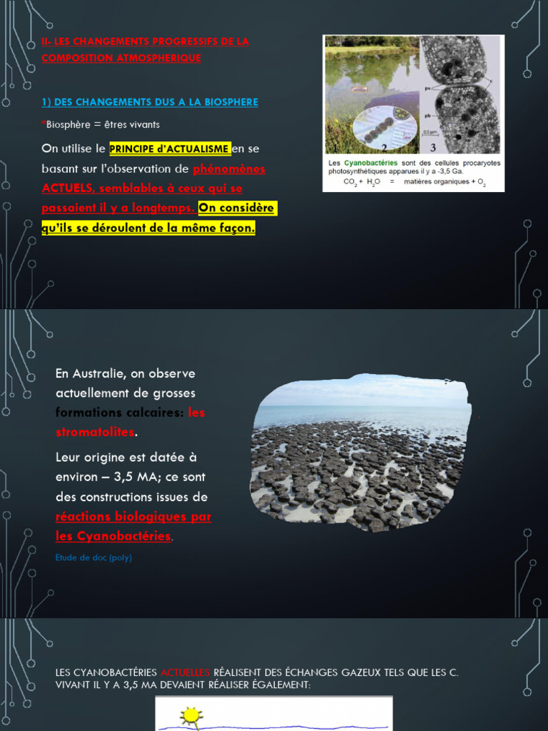 Actualisme et cycle du carbone en SVT | PDF | Cycle du carbone | Ultra ...