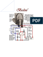 Bedini Diagram