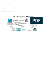 Steps of The Scientific Method