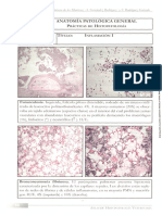 Atlas de Histopatología Veterinaria 2 Reducido