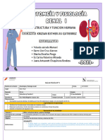 Anatomia y Fisiologia Renal I de Práctica 9