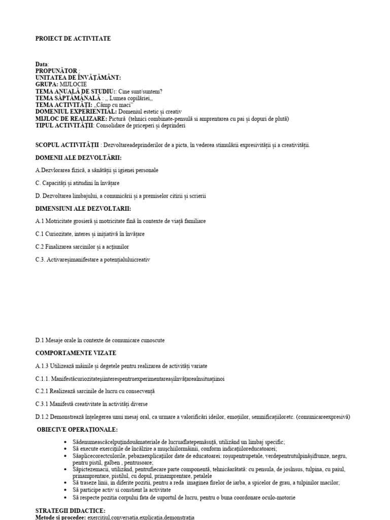 Proiect Model Pictură | PDF