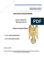 Licenciatura en Educación Primaria: El Sujeto y Su Formación Profesional