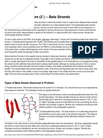 Secondary Structure - Beta Strands