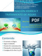 Contaminación Hídrica y Tratamiento de Aguas Clase4 y 5 Semana2