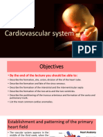 Cardiovascular System