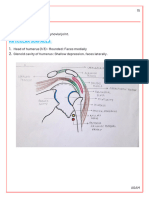 Shoulder Joint